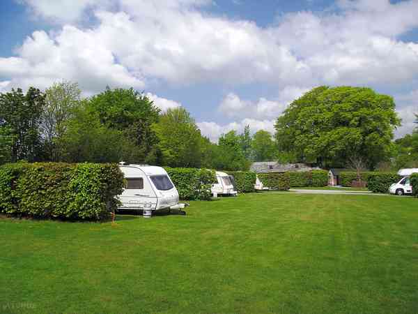 Spacious grass pitches Spacious grass pitches