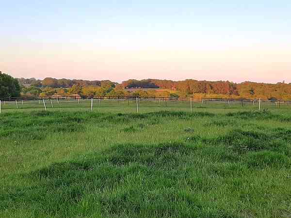Staplaats voor een tent of voor vouwwagen op gras , met elektriciteit