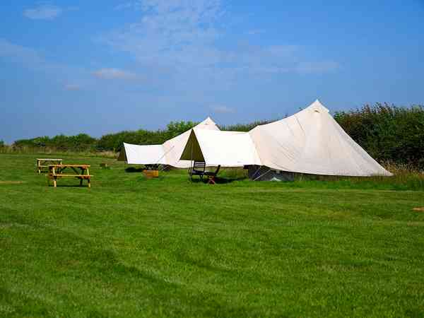 Daisy bell tent