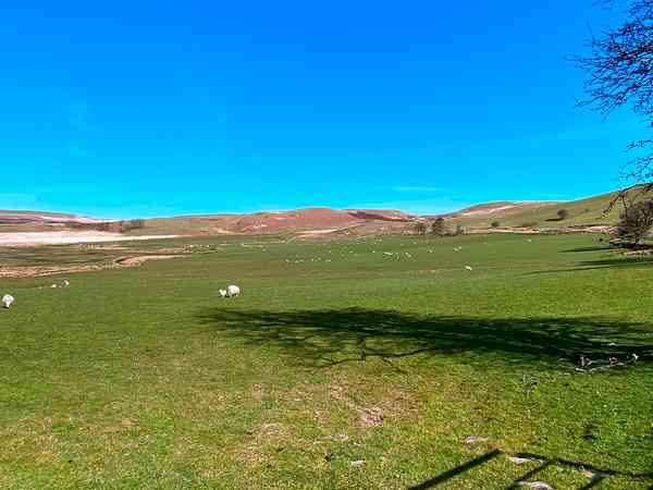 Non-electric grass motorhome pitch
