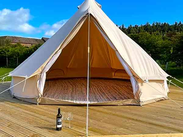 Tipi