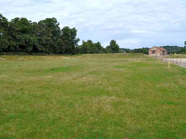 Lower field Lower field