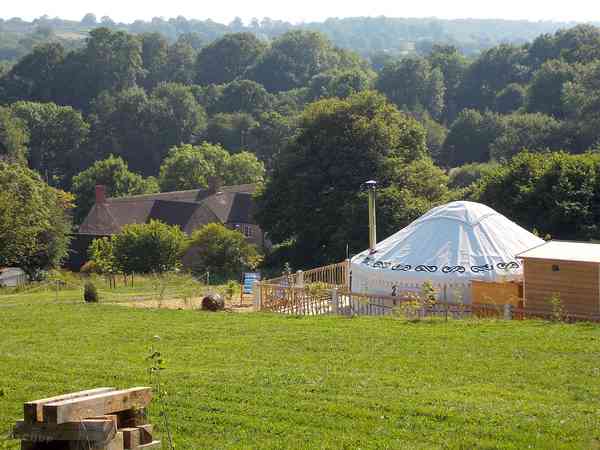 Yurt Buttercup