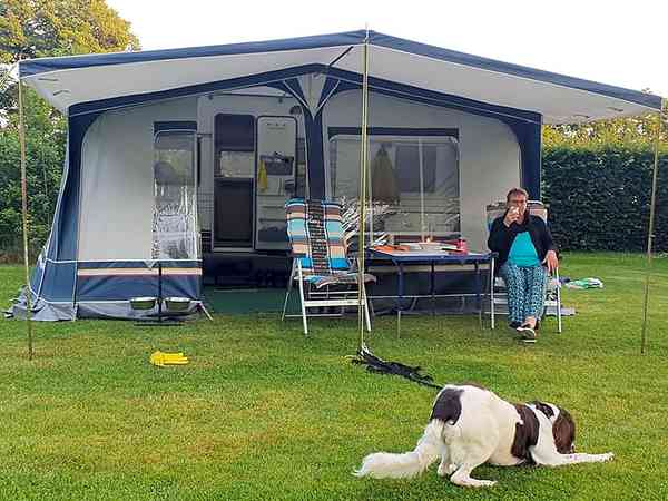 Electric optional grass tent pitch