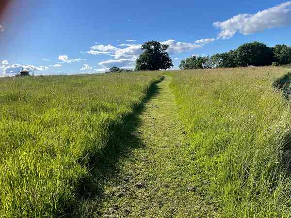 Non-electric grass pitch