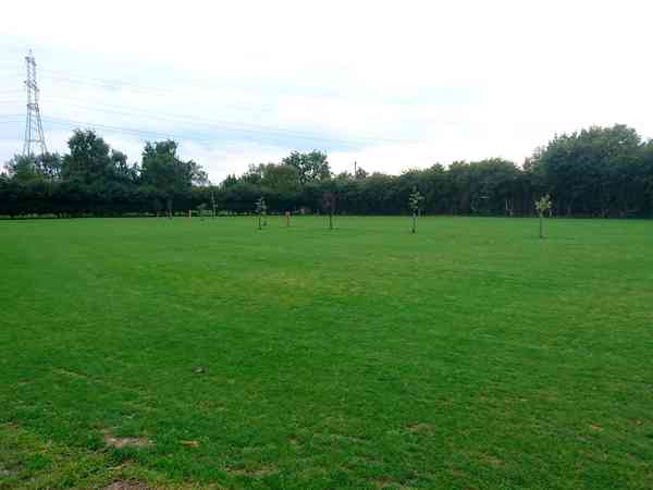 Main field Main field