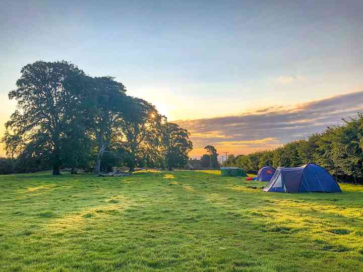 Pitch up camping best sale