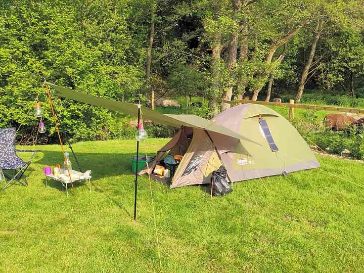 Ozark trail 9ft x 7ft backpacking tent hotsell