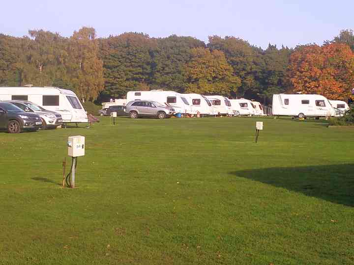 Woodlands cars deals hook