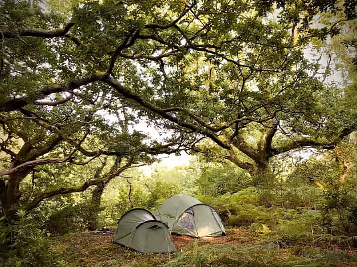 Camping selvagem