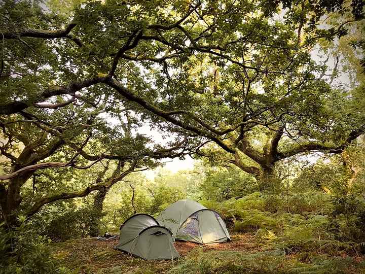 Kamperen in de natuur