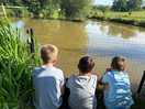 Watching the fish and dragon flys