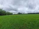 The feild