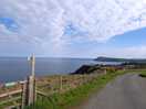 Looking down the drive to campsite