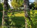 Great off lead dog area