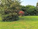 Lovely landscaping