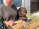 Very dog friendly
