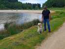 One man and his dog