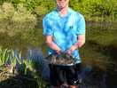 Lots of stunning little carp