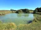 One of the lovely fishing lakes