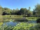 Also pond