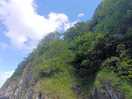 Rock