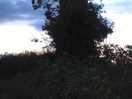 Dusk
