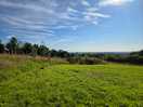 Top field