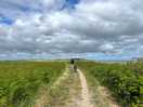 Coastal path