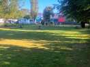 Dog park