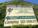 Brilliant camp site
