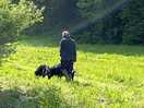 Bear walking with my dog.