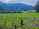 Valley view