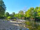 River earn