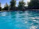 The pool