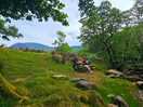 Picnic spot on site