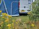 Camp set up