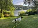 Our springer spaniel absolutely loved it here, green areas to run & the lake to cool off in.