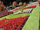 Oswestry gardens 10 minute drive
