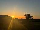 Beautiful sunsets
