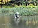 Dog walk area / pond