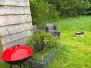 Bbq & seating area with fire pit