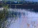 Lough allen