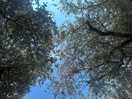 Sdraiarsi sotto al cielo col suono della natura