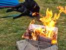 Fires allowed