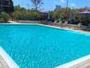 Lovely pool