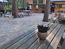 Area ristorante per consumare dalla colazione agli ottimi cocktail!