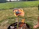 Marshmallows at our campfire
