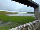 Alwen res