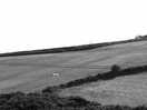 Lovely country side